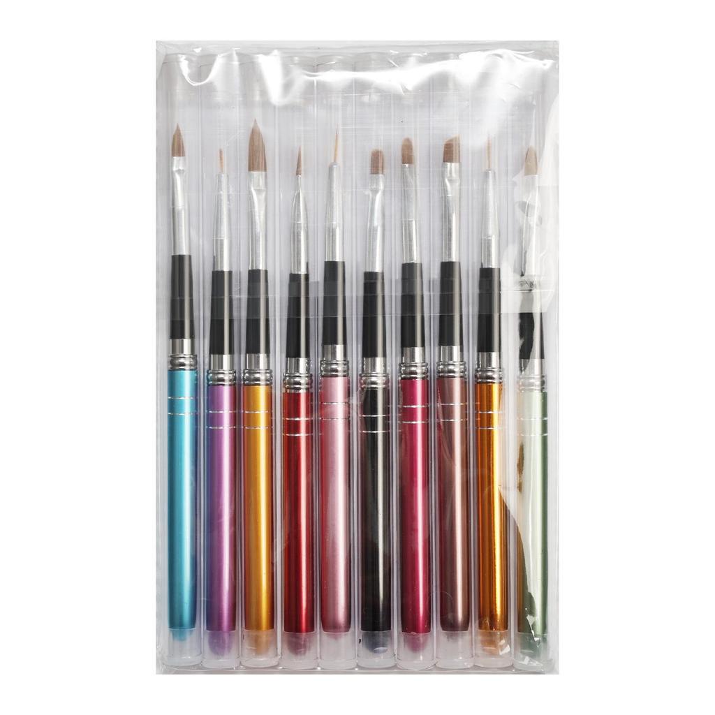 10-Piece Nail Art Brush Set: Hand-Painting, Flower Design, Liner, Carving, Gel Polish, Fan, Full Salon Tool Kit