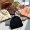 Korea autumn and winter simple coarse needle twisted warm knitted hat women's versatile ear protection wool hat