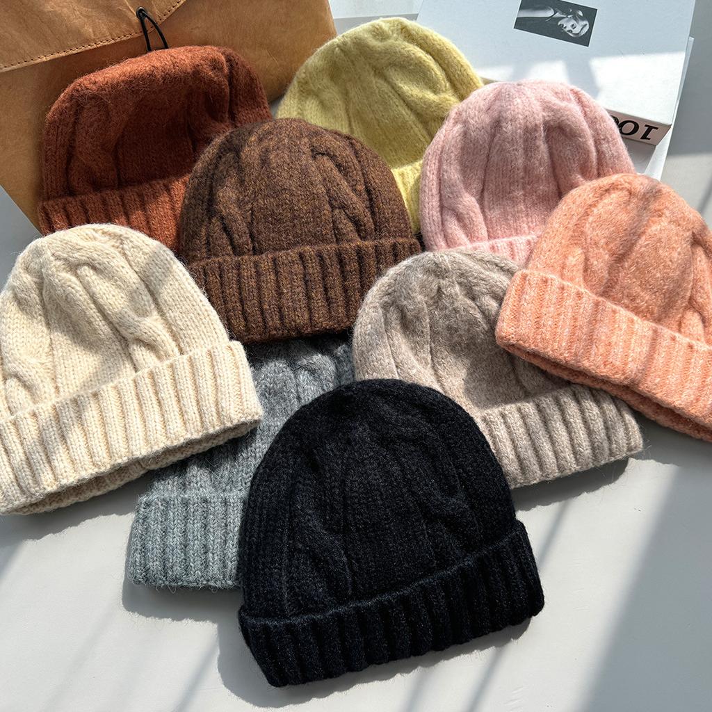 Korea autumn and winter simple coarse needle twisted warm knitted hat women's versatile ear protection wool hat