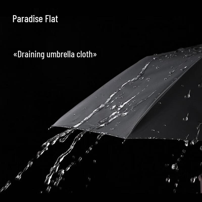Paradise Fully Automatic Extra-Large 12-Rib Windproof Umbrella