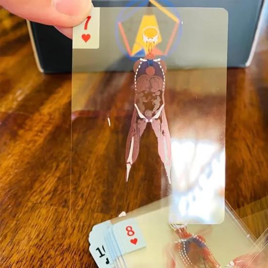 Le Jeu de Cartes Corps Squelette Modèle Cartes à Jouer Transparent Image Anatomie Humaine 3D