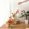 Suction Cup Dog Rope Toy Interactive Dog Chew Toy Tug-of-War Teeth Cleaning Toy for Puppy Teething Dogs Boredom Relief