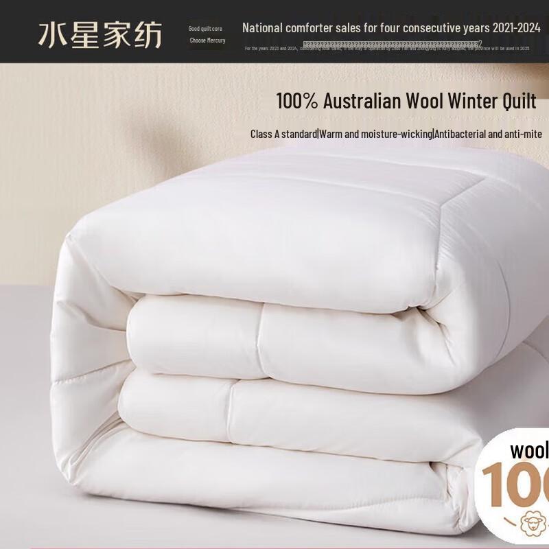 

Mercury Home Textiles Winter Fiber Quilt