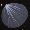 1 Tier Wedding Bridal Veil with Comb Sparkling Rhinestones Adornment Short Fingertip Length Cut Edge Tulle Veil