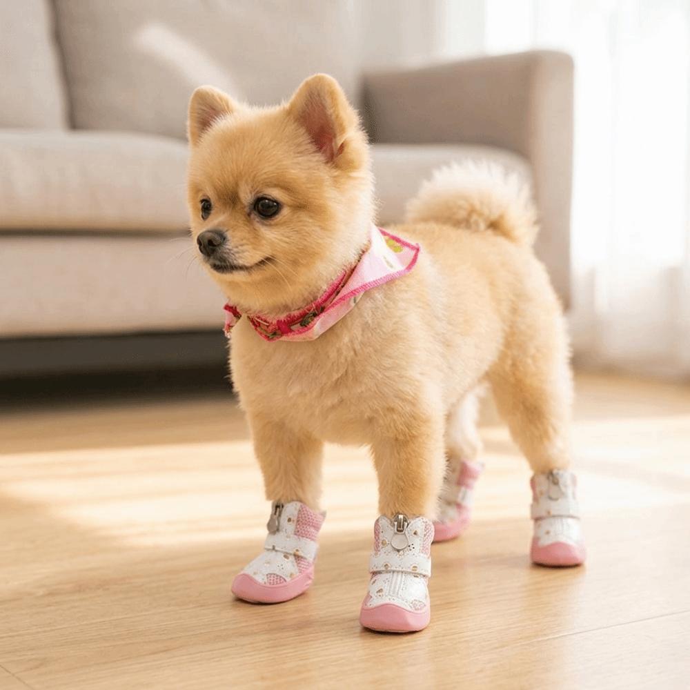 4Pcs Golden Mesh Mesh Dog Shoes Breathable Puppy Paw Shoes Breathable Pet Boots Teddy Bichon