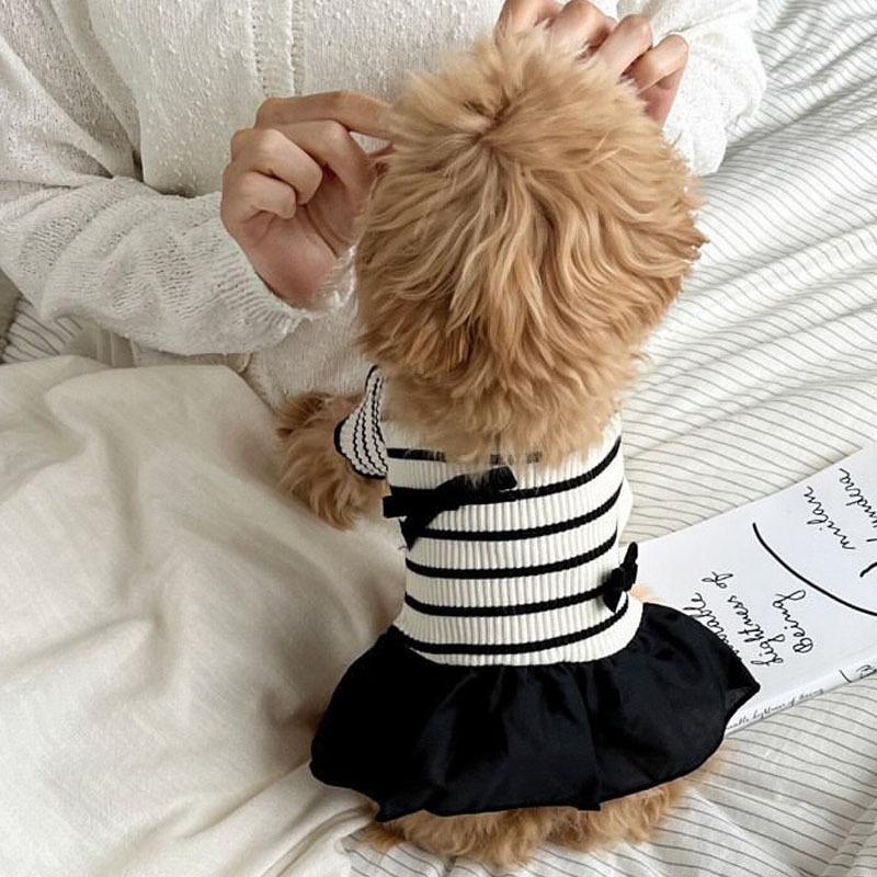 Bowknot Striped Puppy Hoodie Dress Pet Couple Clothing Dog Clothes For Small Dogs Chihuahua Poodle Dog Sweatshirt Shirt Apparels