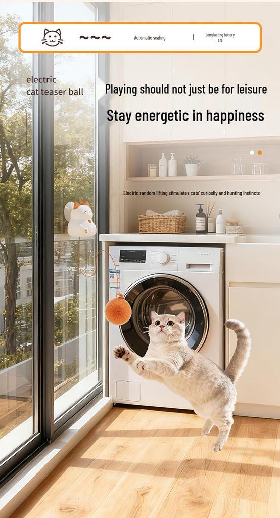 Rechargeable Electric Cat Toy: Automatic Lifting Tease Ball with No Tangles
