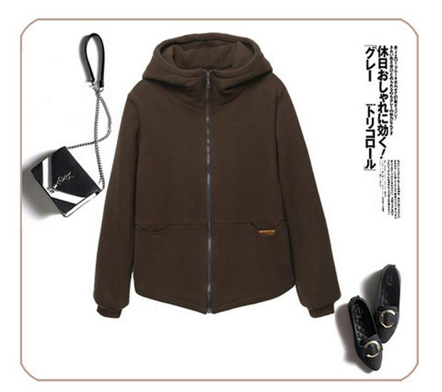 Women's Winter Fleece-Lined Cotton Coat – Mother's Style, Thickened Outerwear for Middle-Aged and Elderly, New Autumn/Winter Down Cotton Jacket