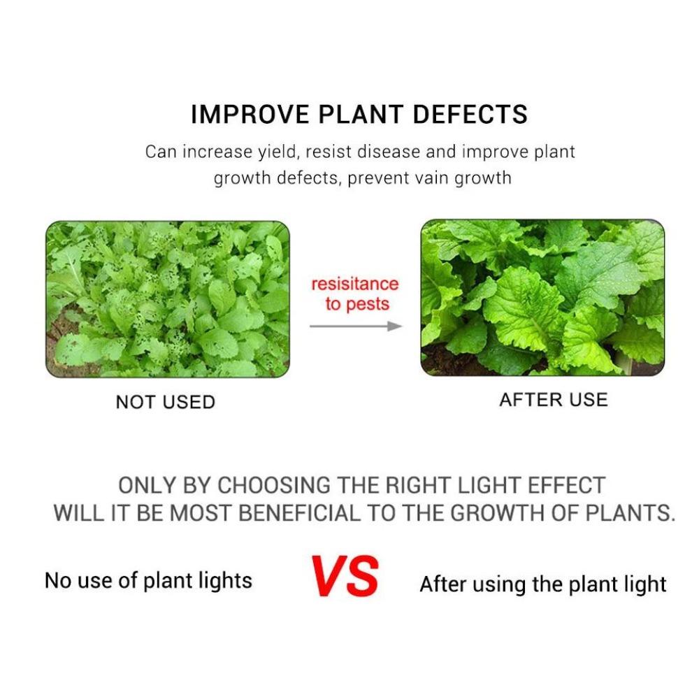 LED Grow Light Waterproof Indoor Veg Plant Growing Lamp Plant Grow LED Light for Plants Flowers Greenhouse Hydroponic 1M 2M 2M 5M