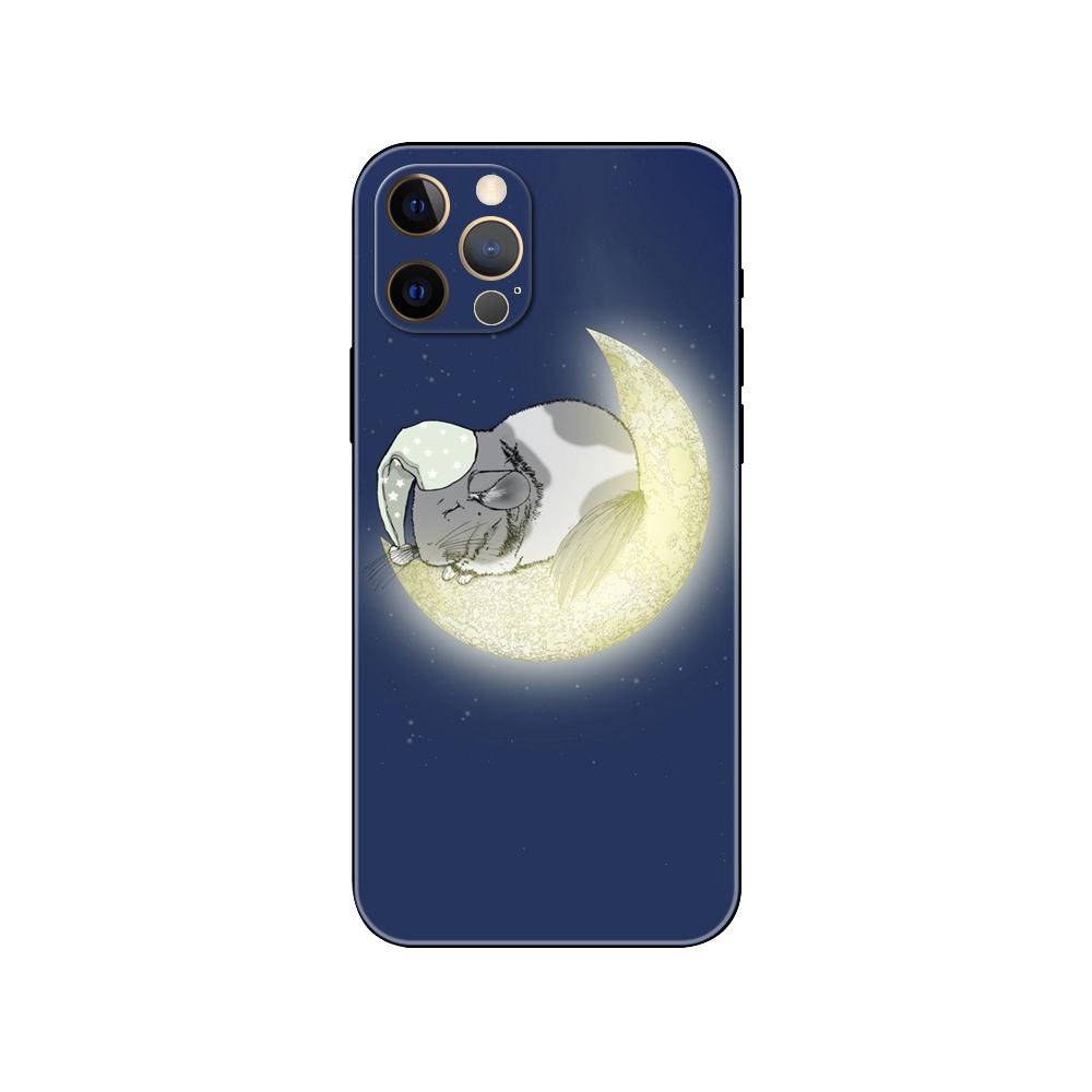 Cute Cartoon Chinchilla phone case for iphone 5 5s 2020se 6 6s 7 8 plus x 10 XR XS 11 12 13 mini pro MAX black tpu back cover