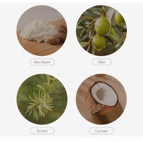 PICCASSO Brush Cleansing Soap + Soap Case Set 2items