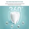 Japanese Lion Sonic Electric Toothbrush Set: Waterproof, Rechargeable, Magnetic Levitation.