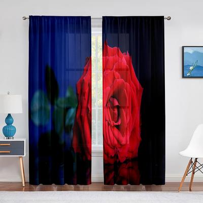 Tende trasparenti con rosa rossa in fiore da vicino per camera da letto, soggiorno, San Valentino, romantiche, floreali, in chiffon, tulle, voile