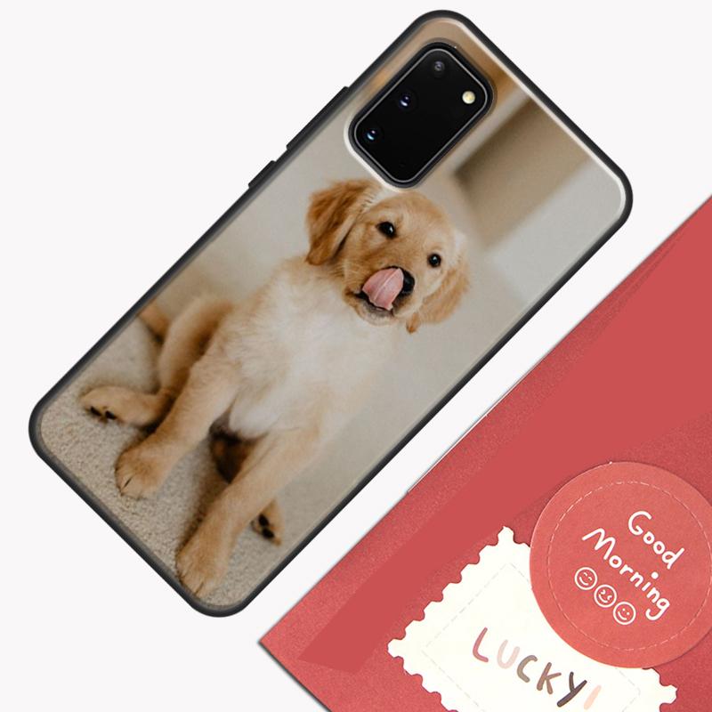 Golden Retriever Hund Handyhülle Für Samsung Galaxy S24 S26 Ultra S20 S21 S22 S23 S25 Plus S10 S25 FE Hülle Schale