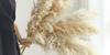 Natural Air-Dried Reed and Cattail Flower Bouquet for Floor Vase Decoration
