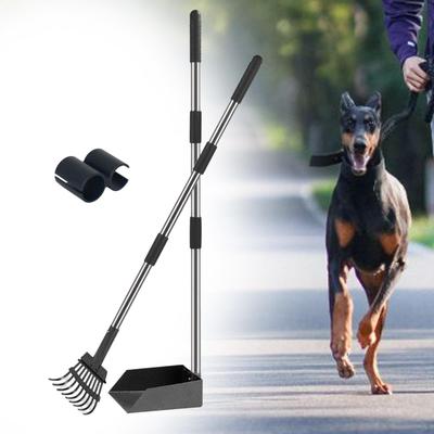Köpek – Köpek bakım ürünleri