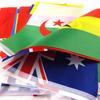 Xvggdg  48pcs   2026 Football Cup Flag 14x21cm  Small World Flag Hanging Flag NEW Cup Countries Flag for Bar Bunting Decoration