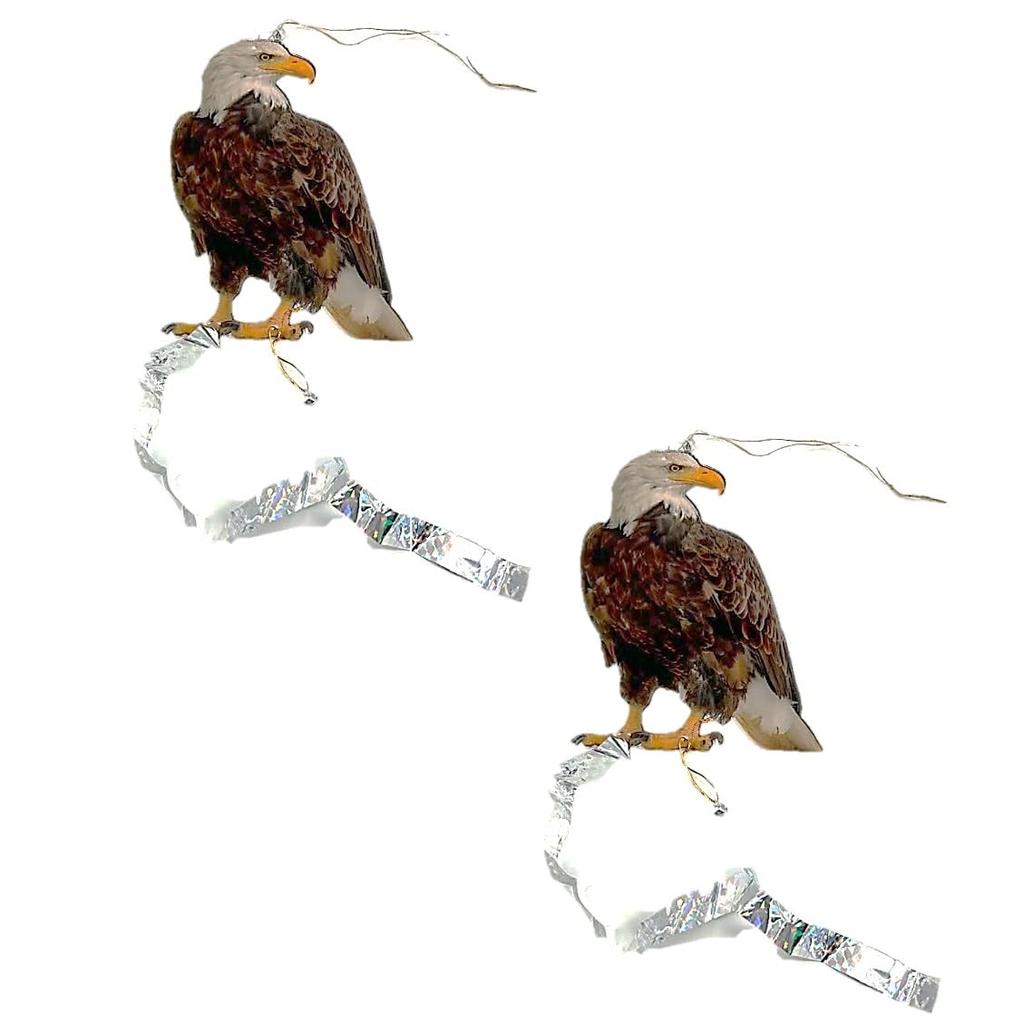 ST TS Bird Repellent, Realistic Eagle, Raptor, Owl, Sparrow, Pigeon, Crow, Bird Pest Control, Balcony, Garden, Field (Type 2x2)