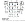 3 kusy Tai Chi cvičebních plakátů Ilustrace sedavé Tai Chi sestavy Pokyny pro jemné cvičení pro začátečníky Tai Chi Seniory