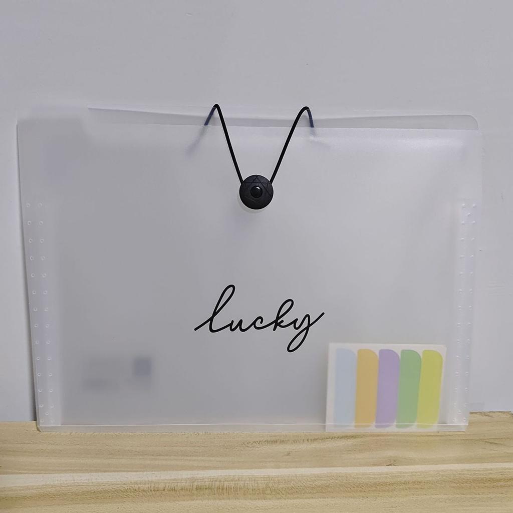 Transparent Insert Style A4 Folder Storage Box, Test Paper Folder Organization and Classification Tool, Data Book