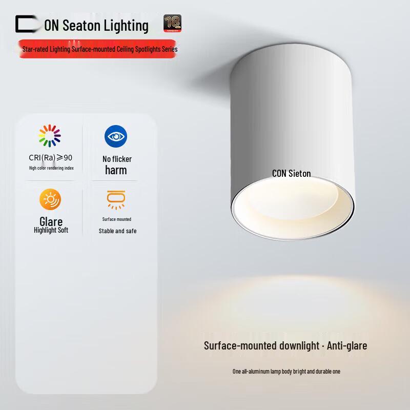 CDN LED Round Surface Mount Ceiling Light
