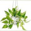 Wood Base Disco Ball  Flower Planter Chain Plant Hanger Plant Hanging Basket  Indoor Plants