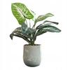 Artificial Plant Flower In A Pot For Home Office Realistic 40Cm Alocasia