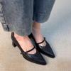 Vintage Frühling Dicke Ferse Damen Mary Jane Schuhe Flacher Schnallenriemen Schuhe Damen Elegant Spitze Zehen Tanzparty Pumps