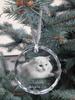 Turkish Angora – Crystal bauble with a photo, photo of a cat in crystal | Art-Dog