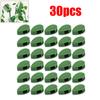 Invisible Plant Climbing Wall Fixture Clips 10/20/40/60Pcs PcsRattan Vine Bracket Fixed Buckle Leaf Clips Traction Holder Garden