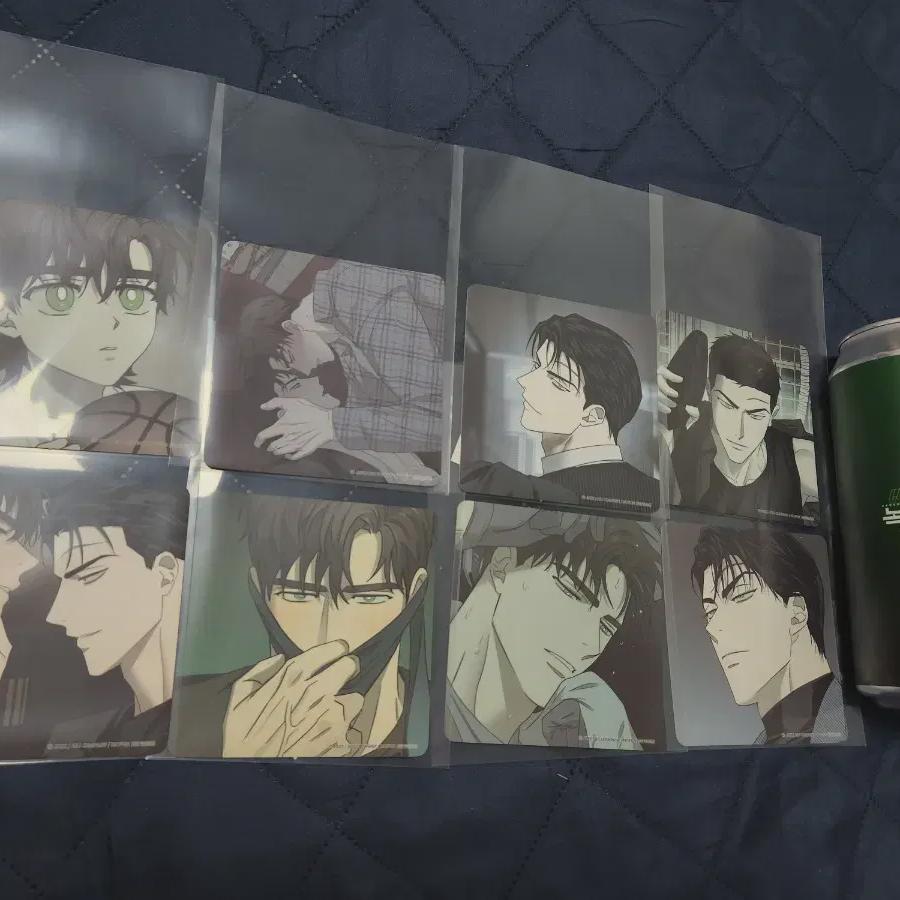 

8 Types Of Green Jeonsang Monly Coasters