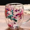Creative Dried Flower Double-Layer Glass Cup – Milk, Water & Breakfast Mug