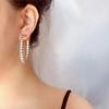 Diamond earrings European and American trend zircon large earrings, slightly zircon cold wind earrings