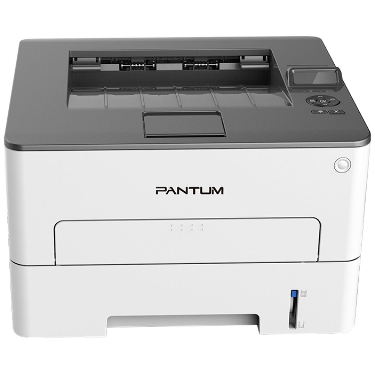 

Лазерный принтер PANTUM P3010DW