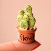 Bonsai Lifelike Eye-catching Miniature DIY Fairy Succulents Decorations for Garden