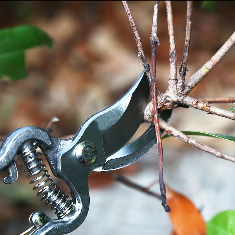 Pruning Shears Household Garden Grafting Shears Manual Resin Shears Garden Pruning Pliers 8 Inch Fruit Branch Shears