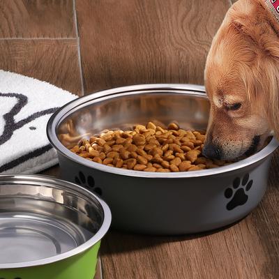 Perros – Proveedores de agua y alimento