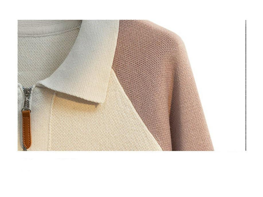 Heren V-hals Trui in Hongkong Stijl: Herfst/Winter Gebreide Polo Top met Kraag voor Tieners