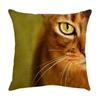 Cute Cat Pillowcase Car Ornaments Living Room Office Home Pillowcase