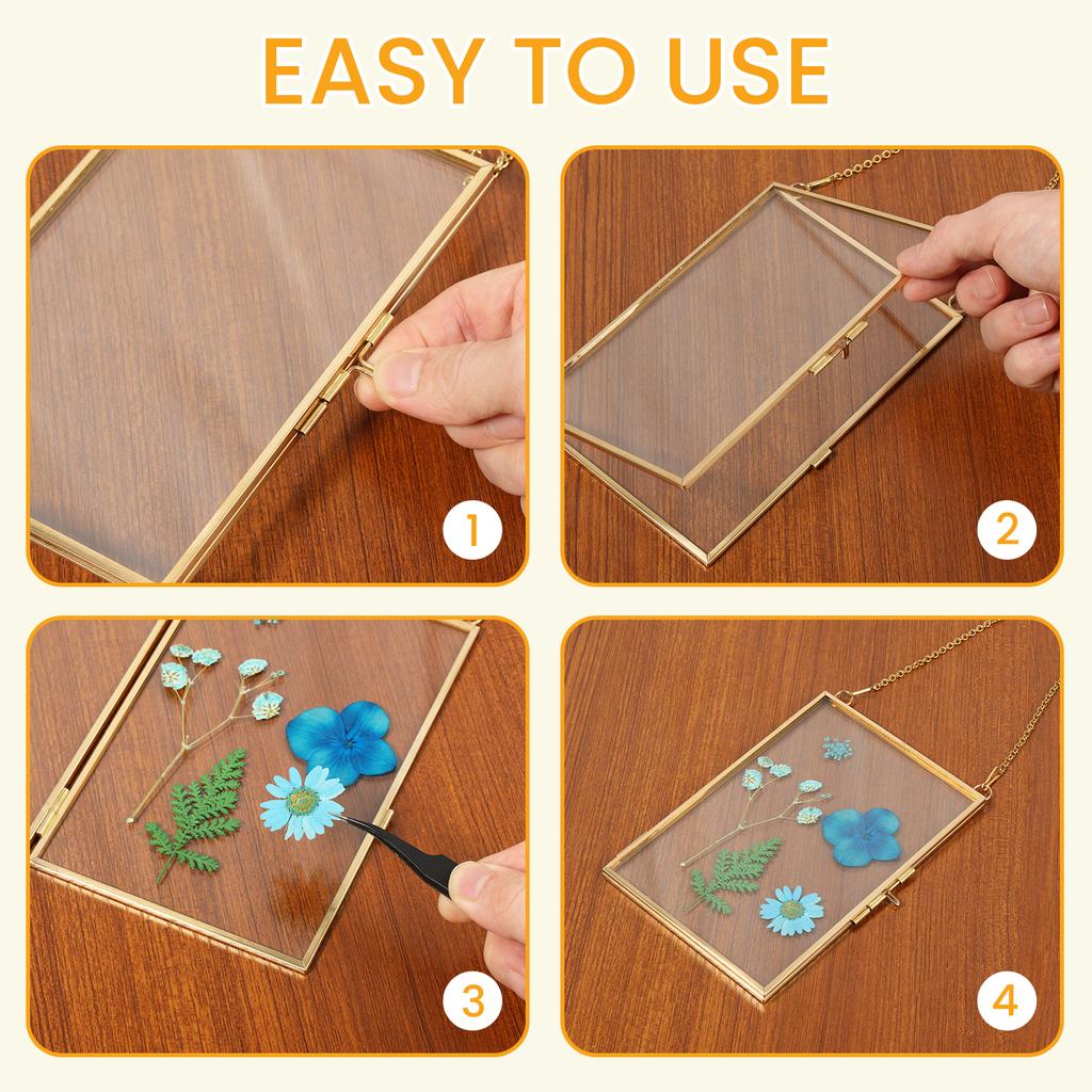 4 Stück Doppelglas Blumenrahmen mit Kette zum Aufhängen Schwebender Bilderrahmen für gepresste getrocknete Blumen Glas Fotorahmen Wanddeko