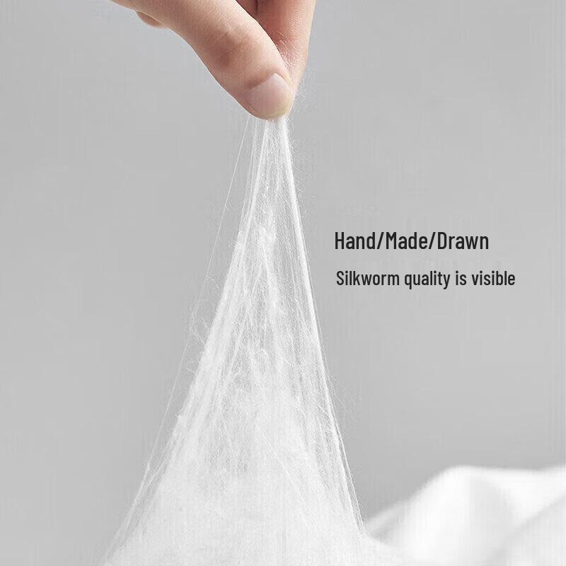 Hengyuanxiang Jacquard 100% Tussah Silk 2-in-1 All-Season Quilt