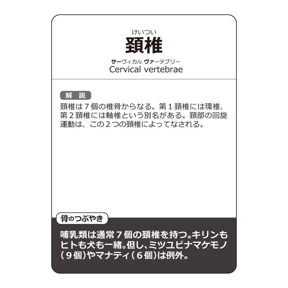 Muscle Karuta Bone Karuta Brain and Internal Organs Karuta Anatomy Karuta Set + + 3-Piece