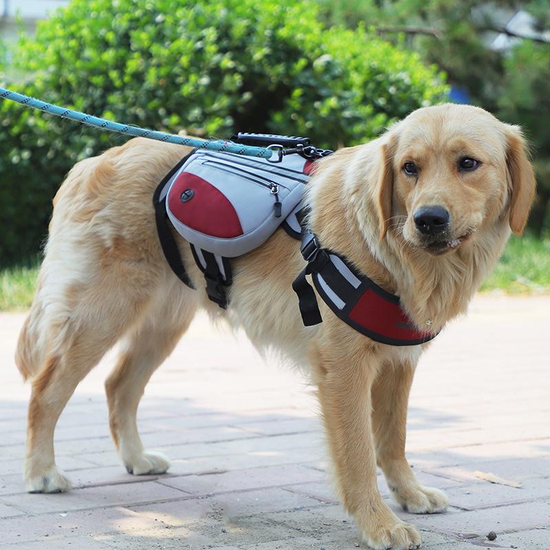 Ny husdjurshund hund självbärande ryggsäck medelstor och stor hund utomhus bärbar hundpromenad snackpåse