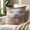 Lustige Katzen-Meme-Kissenhülle Kurzer Plüsch Polyester Kissenbezug Dekor Dekokissenbezug Heimdeko