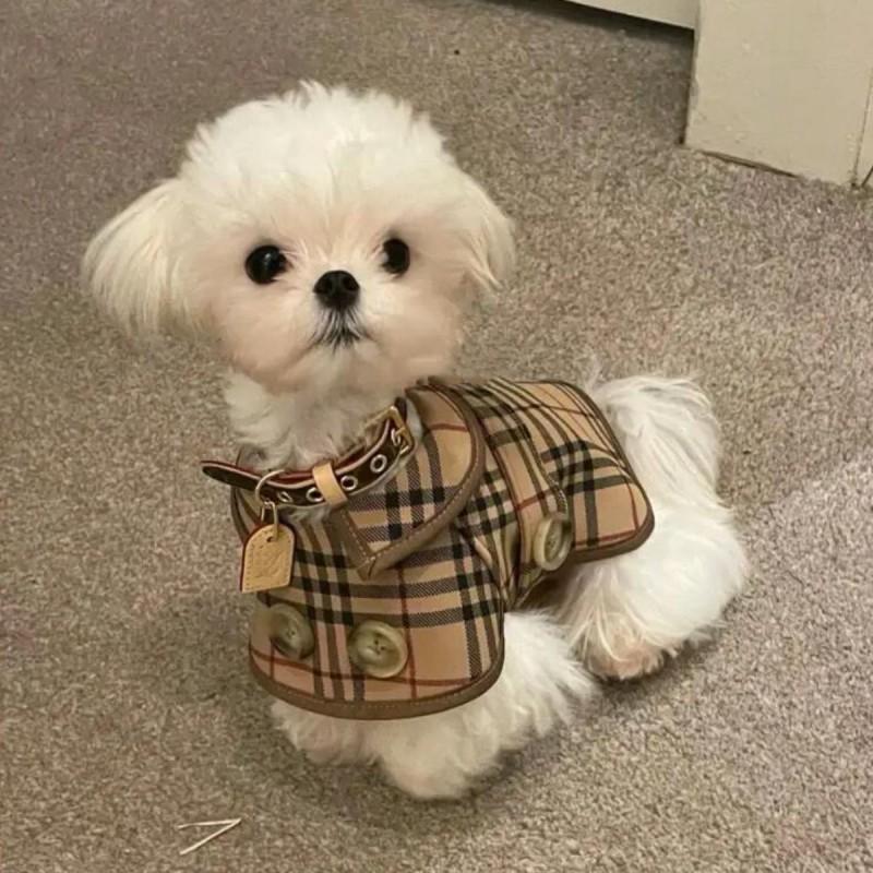 Stylish Lightweight Dog Coat Small Breeds Four English Style Hooded Windbreaker Pet Apparel