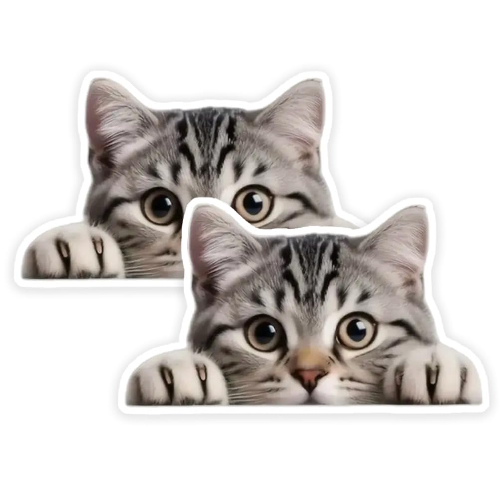 

2 шт. 15x8,5 см Смешная водонепроницаемая виниловая наклейка на автомобиль с подглядывающим котом, аксессуары для внешнего декора для