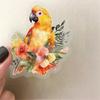 50 Sheets Decorative Sticker Bottle Sticker Reward Sticker Watercolor Bird Graffiti Sticker Decorative Label Sticker