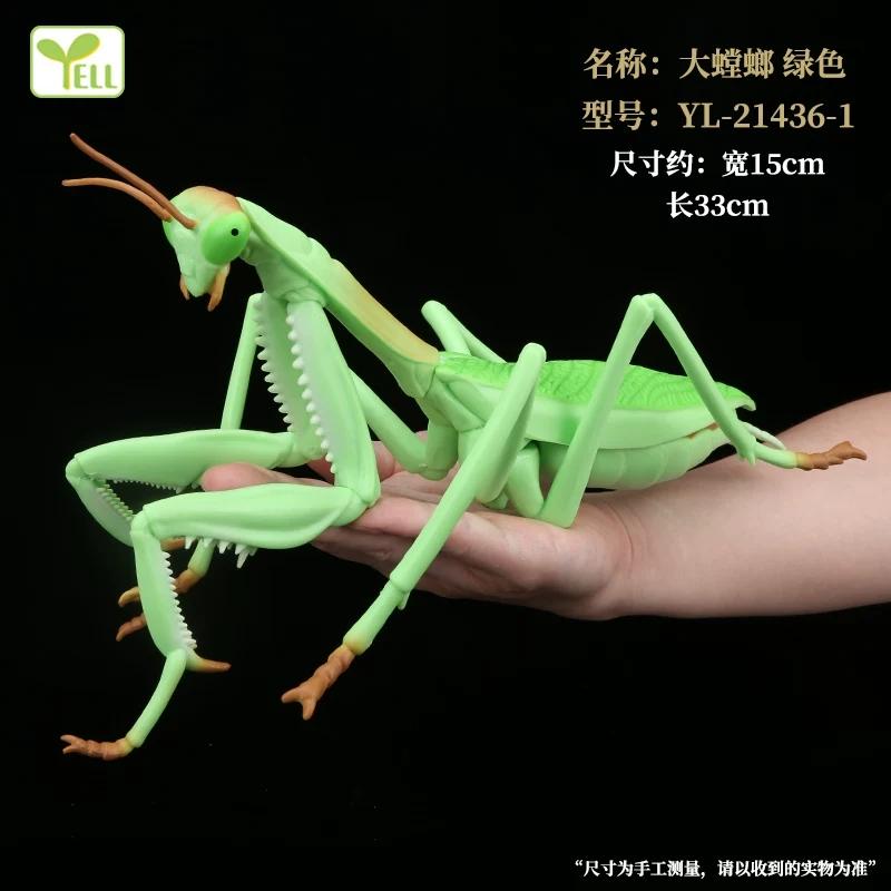 Realistic Insect Figure Collection Set Wasp Mantis Cicada Pupa Rhinoceros Beetle Nature Model Toy Gift For Fans Collectors