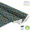 Outdoor Dekostoffe Oxford - Motiv Obst | Dx6932