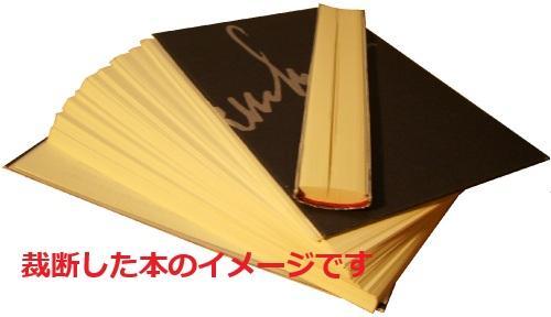 [USED] Cut-out set of 27 volumes of Fullmetal Alchemist (complete set) with bonus